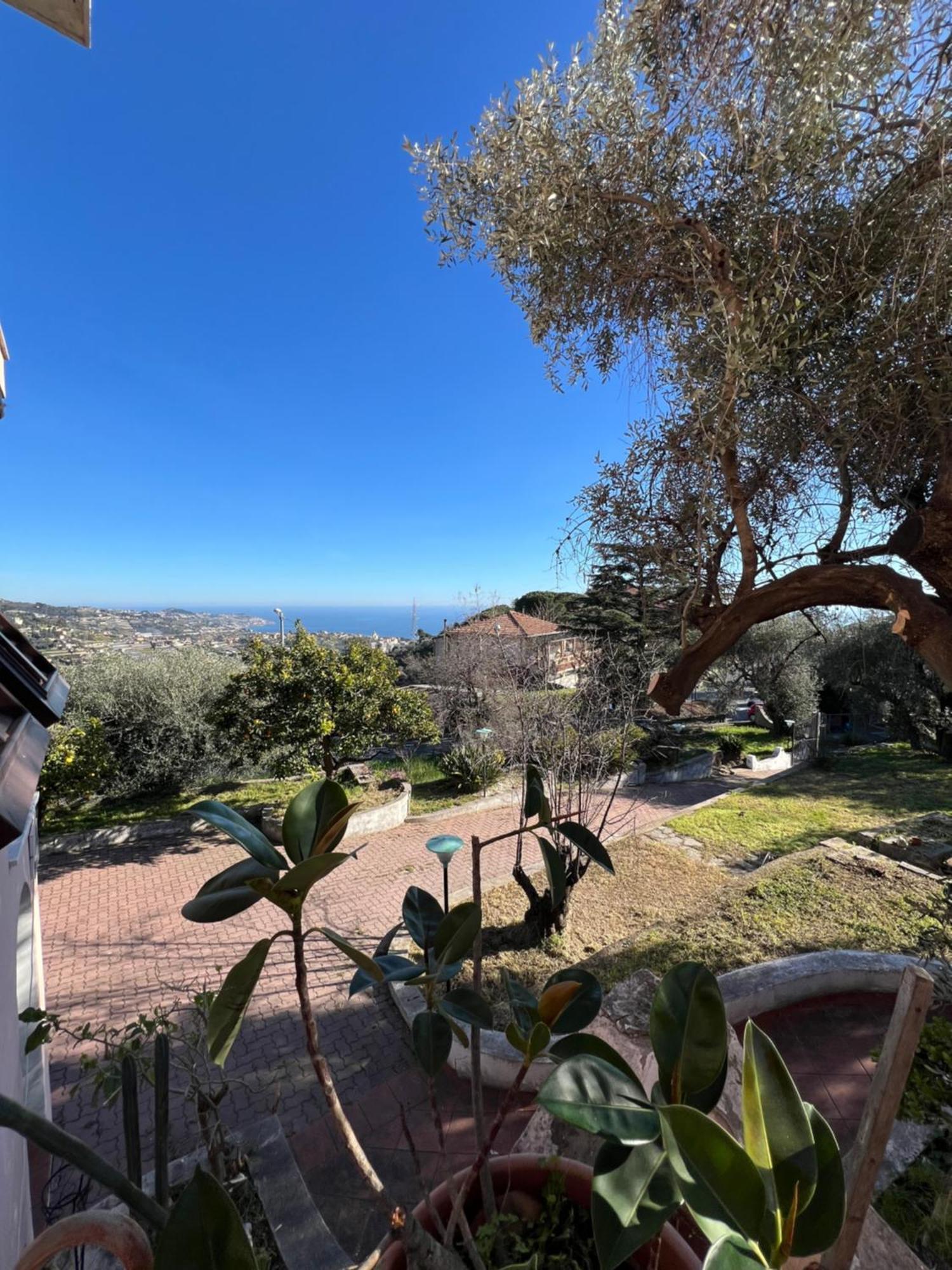 Villa In Collina Vista Mare Sanremo Exteriör bild