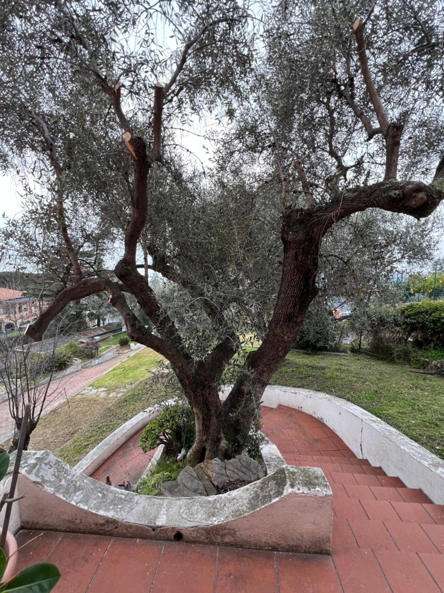 Villa In Collina Vista Mare Sanremo Exteriör bild